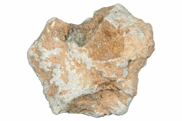 Lunar Meteorite Fragment ( g) - NWA #304115